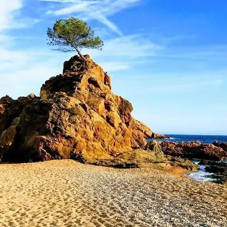Apartment Nautic 2 - A 2 Min De La Playa, A/a Y Parking Tossa de Mar