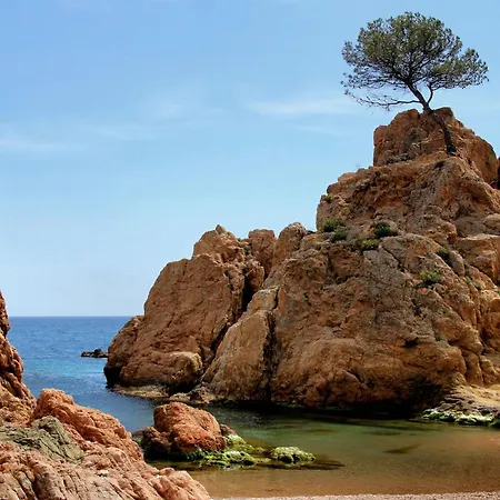 Nautic 2 - A 2 Min De La Playa, A/a Y Parking * Tossa de Mar