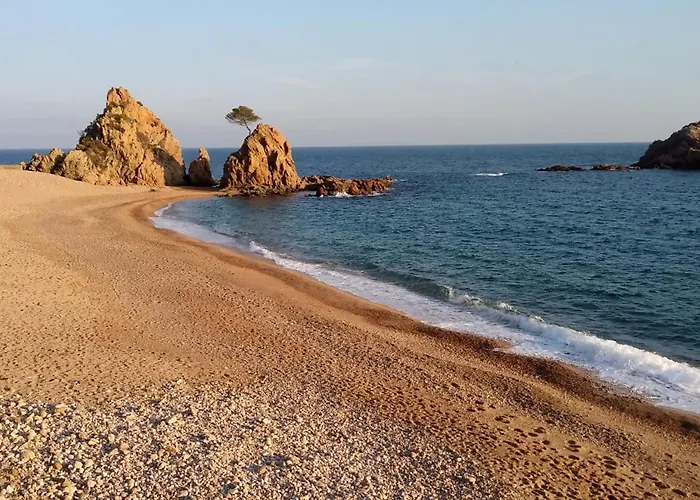 Nautic 2 - A 2 Min De La Playa, A/a Y Parking * توسا ذي مار